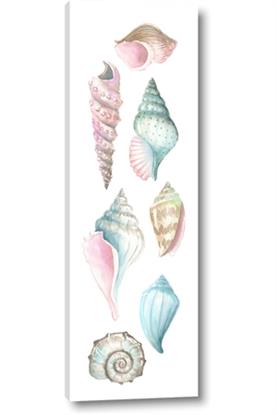 Image de Sea Shells Pastel