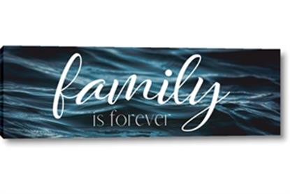 Image de Family is Forever