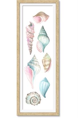 Image de Sea Shells Pastel