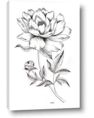 Image de Flowers and leaves (Foil)