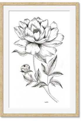 Image de Flowers and leaves (Foil)