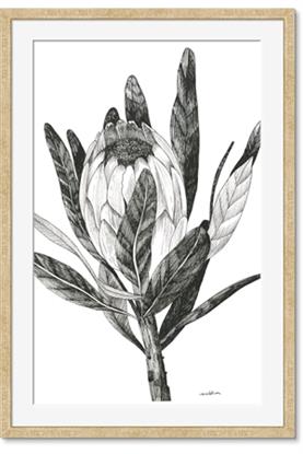 Image de Spring Magnolia Blossoms