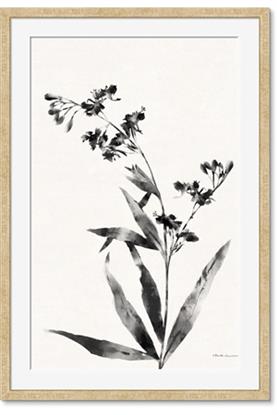 Image de Rowan Tree