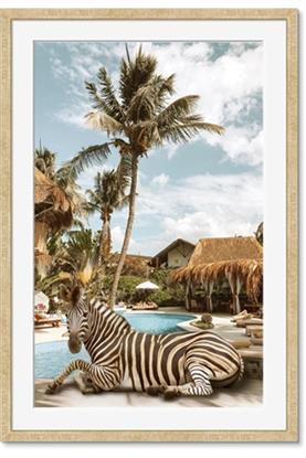 Image de Watering Hole