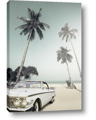 Image de Palms & Cool Car