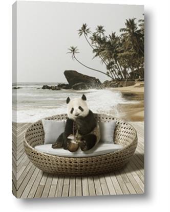 Image de Panda Sitting on Sofa