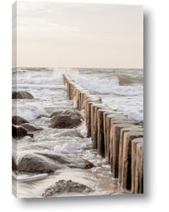 Image de Rocks wood Sea