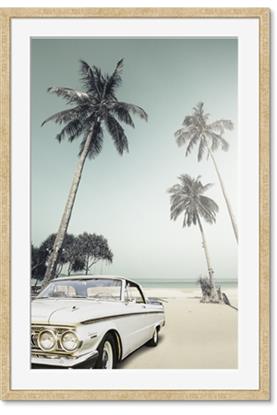 Image de Palms & Cool Car