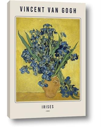 Image de Irises