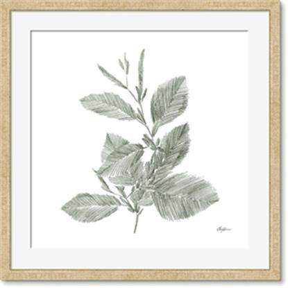 Image de Leafy Look II