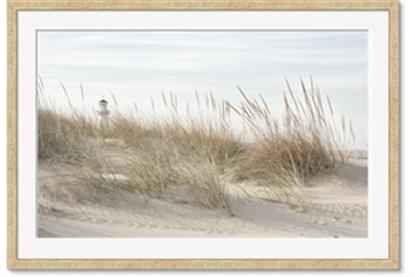 Image de Seaside Grass