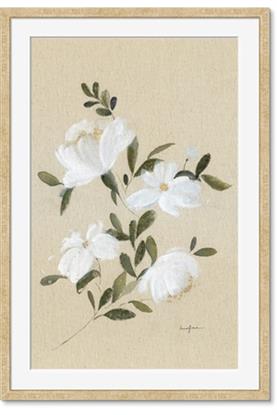 Image de White Whisps II