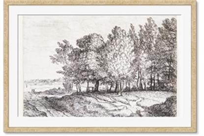 Image de Windy Trees