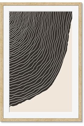 Image de Curved Currents
