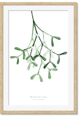 Picture of Under the Mistletoe II