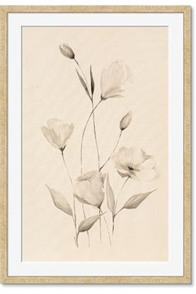 Picture of The Language of Petals I