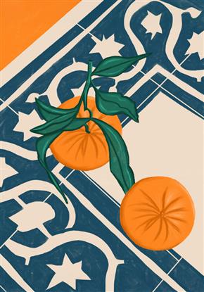 Picture of Summer Mandarins