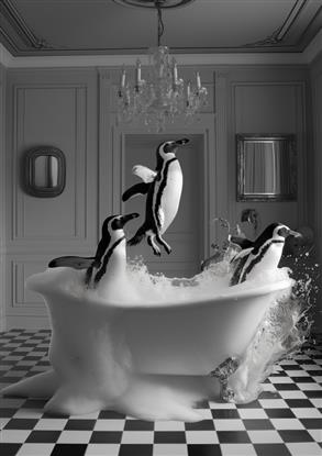 Picture of Penguin Party