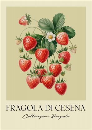 Picture of Fragola Di Cesena