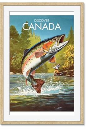 Picture of Canadian Seabass