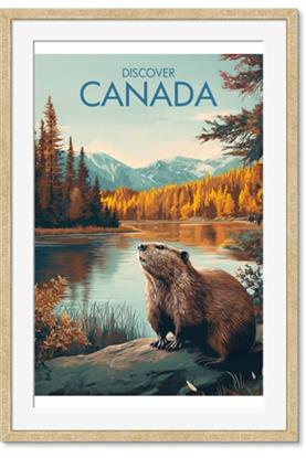 Picture of Canadian Beavers