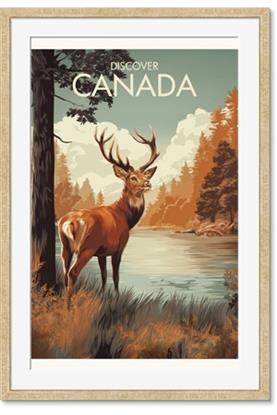 Picture of Canadian Deer