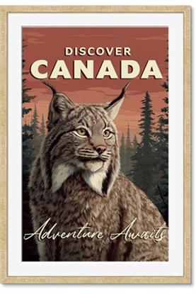 Picture of Discover Canada