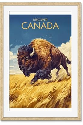 Picture of Field of Giants