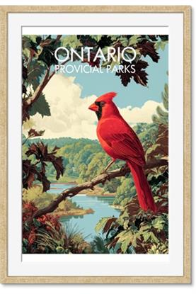 Picture of Still Waters, Wild Voices