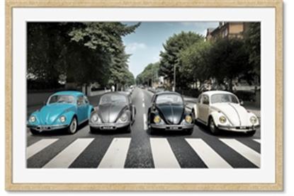 Picture of The Beetles